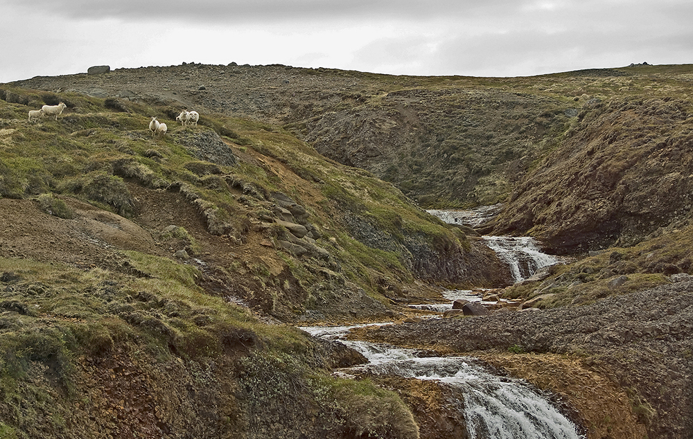 Island Akureyri